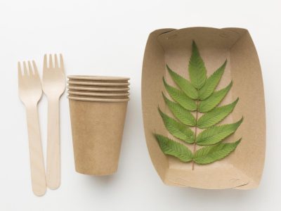 Plats et couverts emballages écologiques